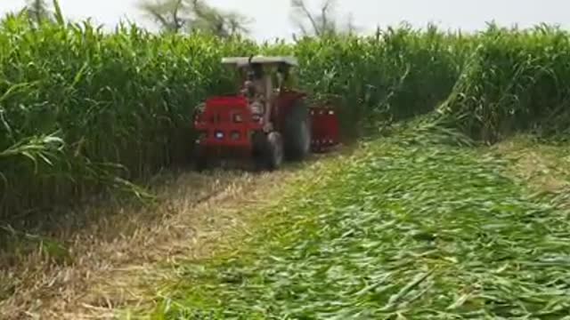 Modern ways of cultivation has been introduced in villages