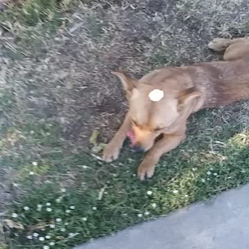 Puff hotter than hot day