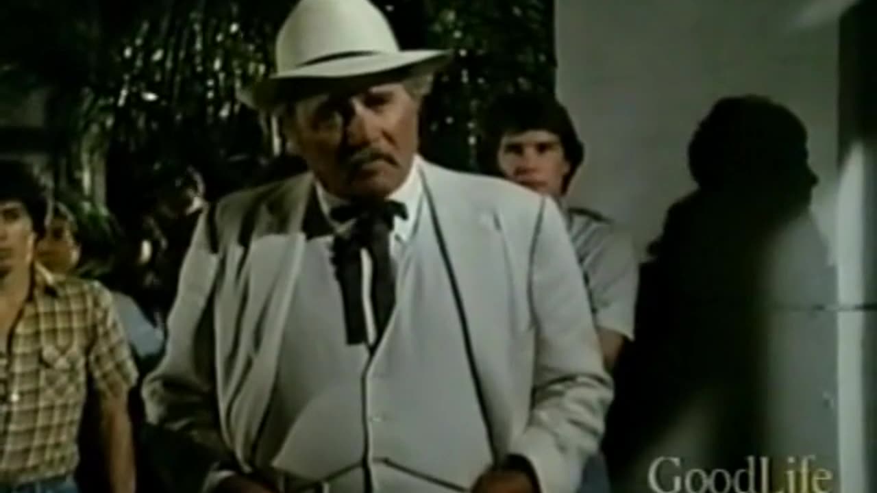 Flamingo Road S2E3 The Substitute