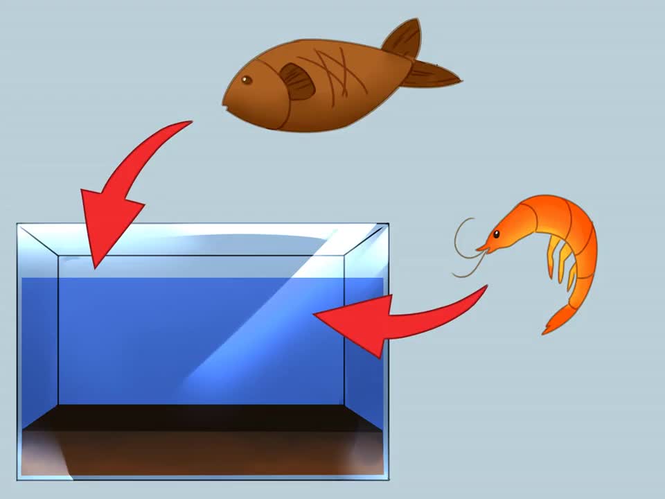 Build a Self Sustaining Ecosystem