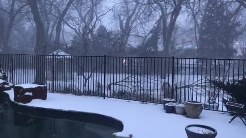 Snow .... Dallas area Valentines Day Febuary 14, 2021