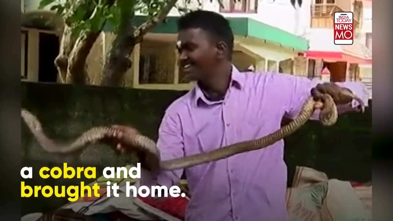 Meet Vava Suresh, India's Snake Master | NewsMo | India Today