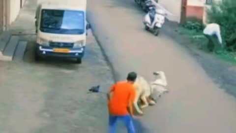 ¡DANGER! DONKEY BRUTALLY ATTACKS A MAN AND OTHER PEOPLE TRY TO HELP HIM😱😱😱😱