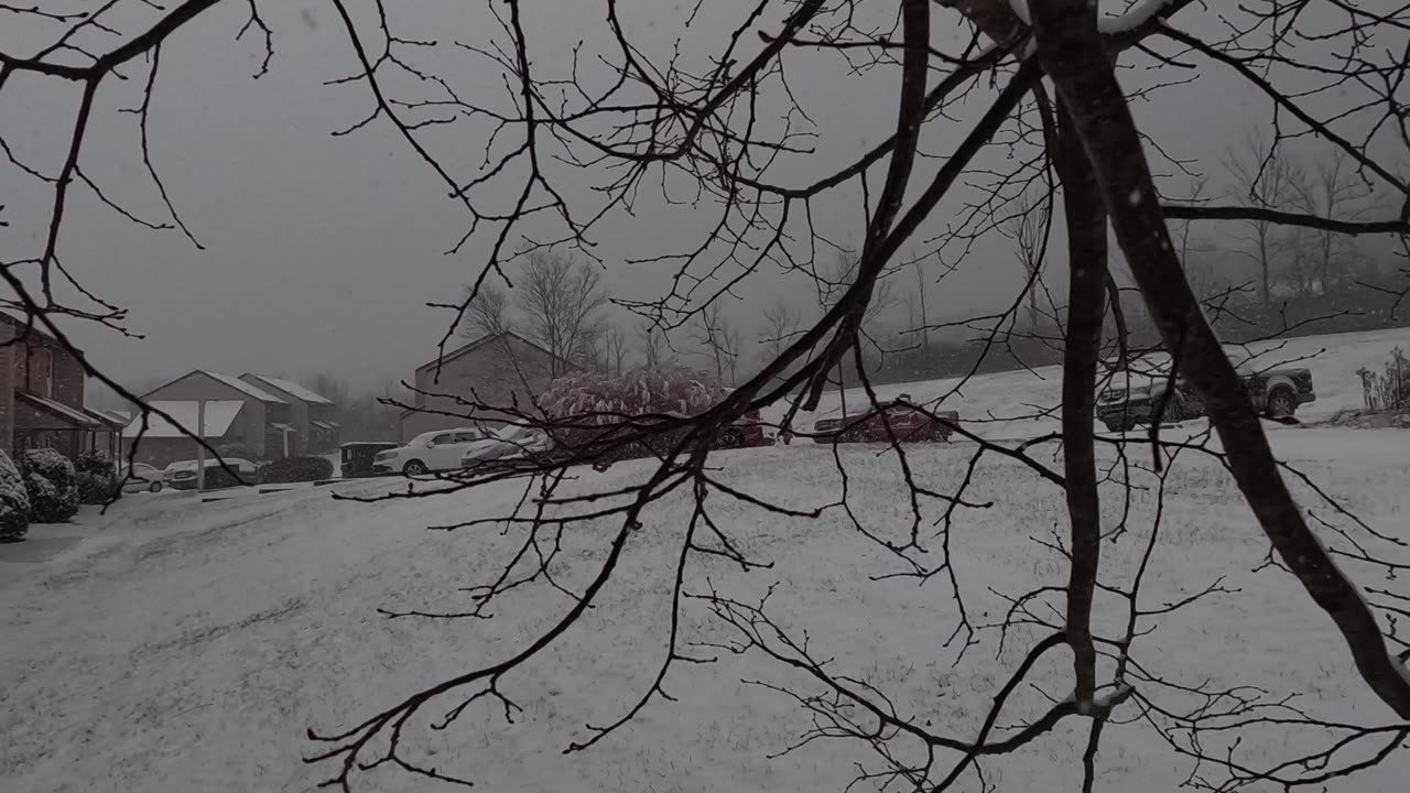 Snow Fall January 6th 2024