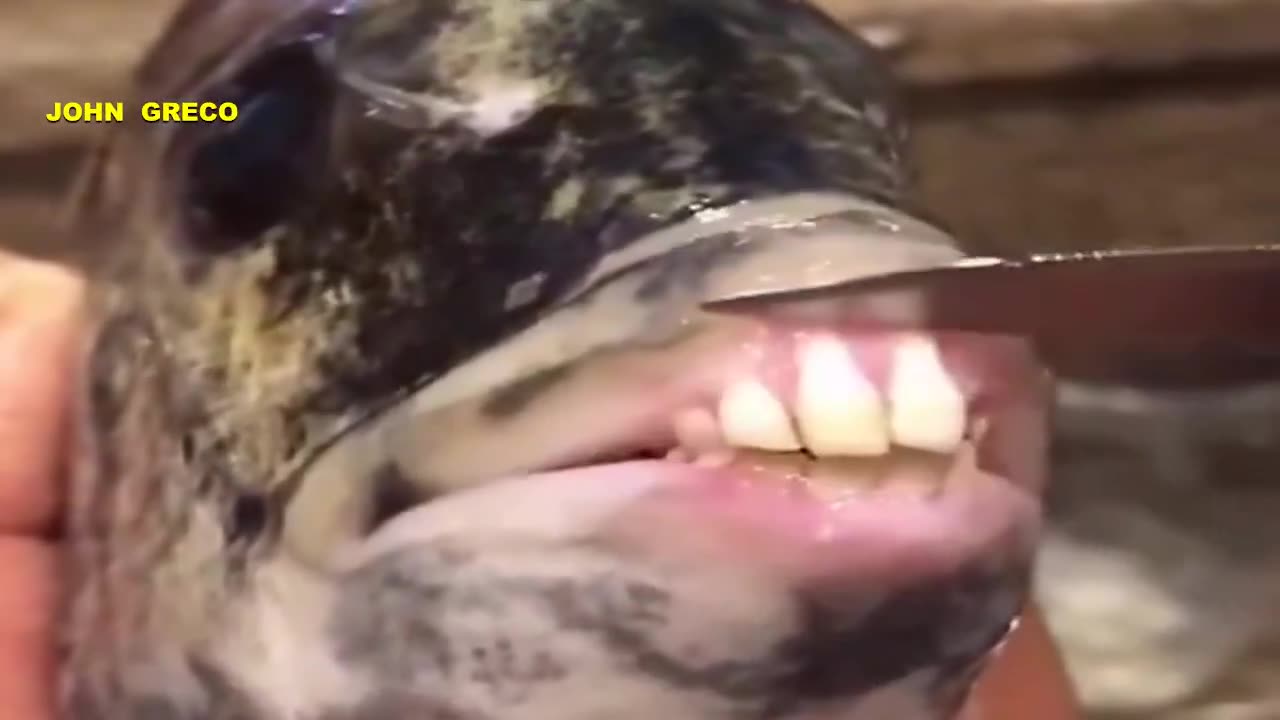 Το ΒΛΕΠΕΙΣ ???👀👇👇 you see it ?? 👍 ''#Kερασακι''... στο Τελος !!👍