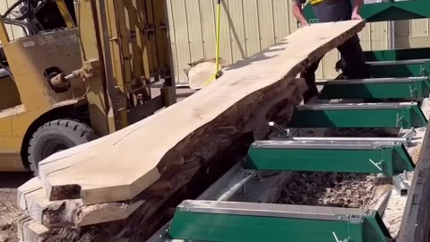 Satisfying - Old pine log getting cut into slabs