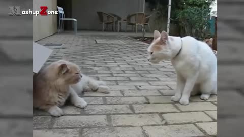 China Vs Taiwan