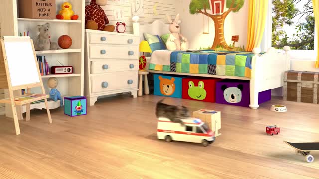 Talking Tom in real life video - Cutest lovely cat