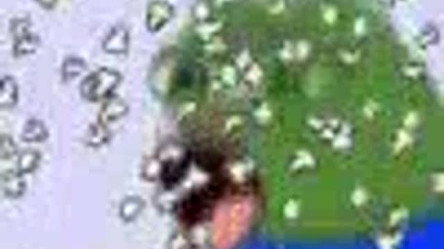 STOCK UP ON POPCORN 🍿🍿😁