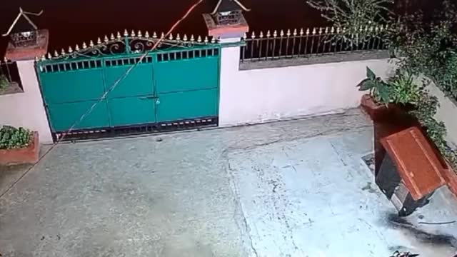 Leopard attacks the wrong dog and regrets straight after!!!_Cut.mp4