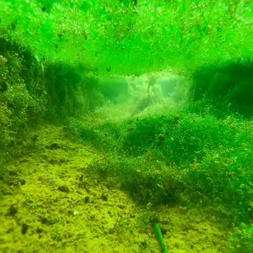 #beutifulvideo#vairalvideo#nicevideo#sweetvideo