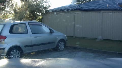 Kangroo Seen in Australian Suburbs