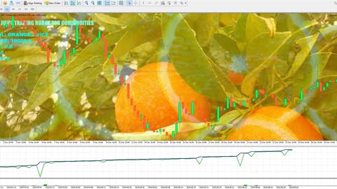 TRADING ROBOT ORANGE JUICE