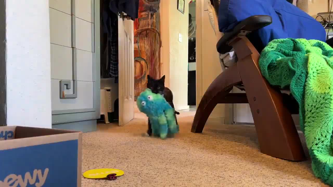 "Mid-afternoon sea monster."