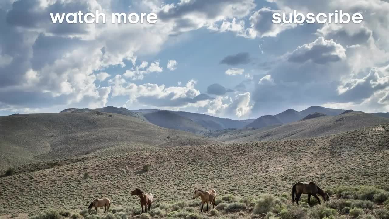 Grouse Chicks Die from Hypothermia | BBC Earth