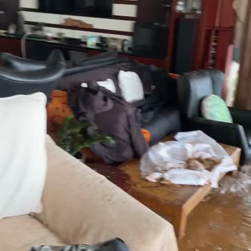 Sisters ask for help after floods destroy 28 years of treasured memories