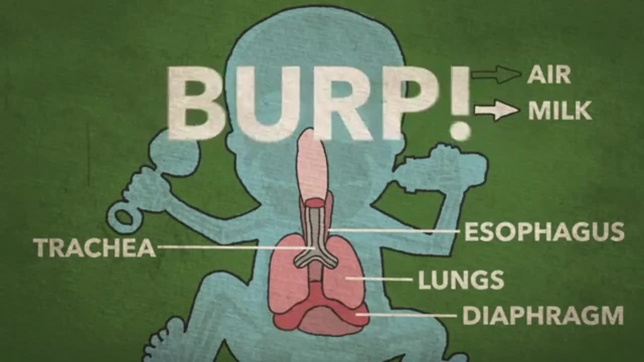 Hiccups are more serious in babies than in adults