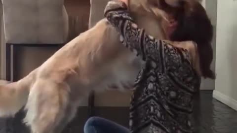 Dogs getting hugs from their owners