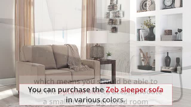 Most Comfortable Sleeper Sofa - sleepywill.com