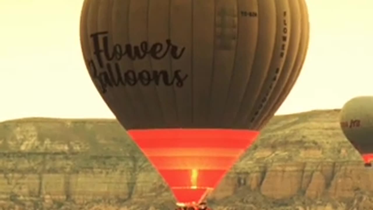 #shorts Hot air balloons flying in the air