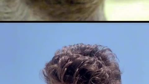 When u cut your hair with parents choice
