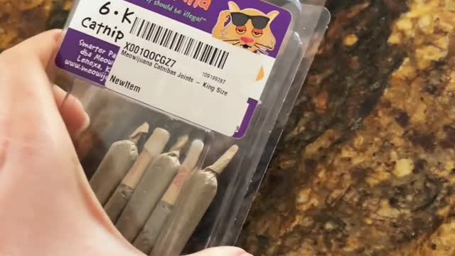 This cat is addicted to weed 🤦🏻♂️😂😂