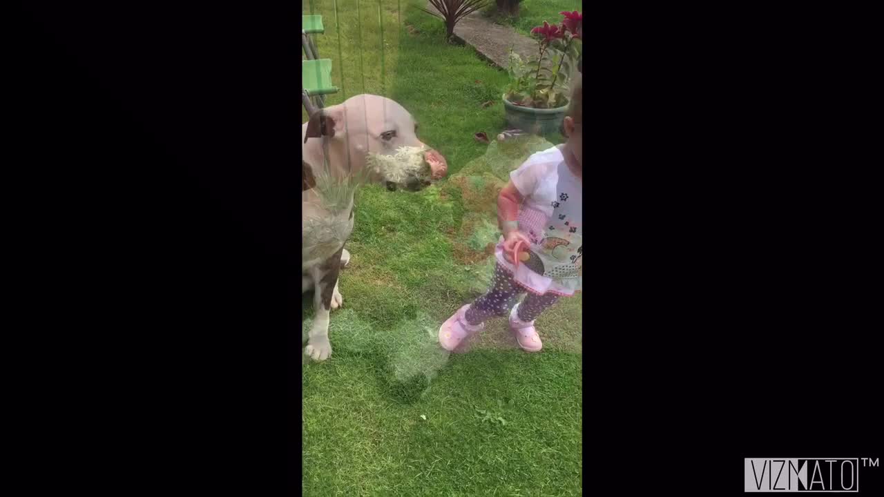 Little girl and her dog share unbreakable bond