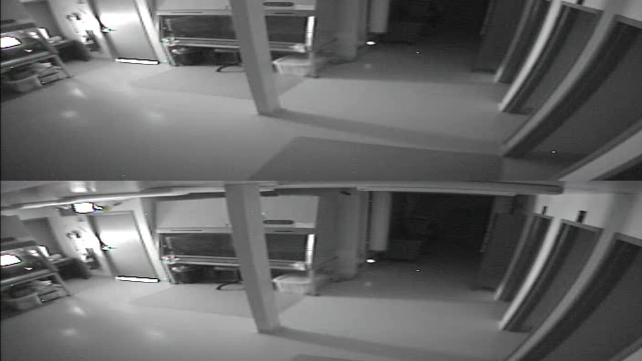 1702CRIB01CribAnalysisArea_2021-01-06_03h00min01s540ms.mp4