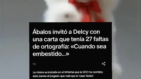 Ábalos invitó a Delcy con una carta que tenía 27 faltas de ortografía