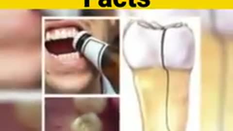 Amazing facts