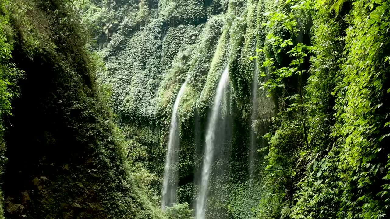 Forest Waterfall Nature Sounds | Beautiful Waterfalls zone