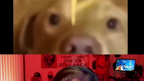 Laugh You Lose Challenge #211