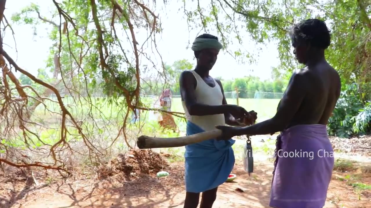 500 KG WATERMELON - Summer Health Drinks - WaterMelon Juice from Farm Fresh Fruits - Village Cooking