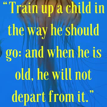 Bible Verse For the Day...Train up a child in the way he should go: and when he is old...