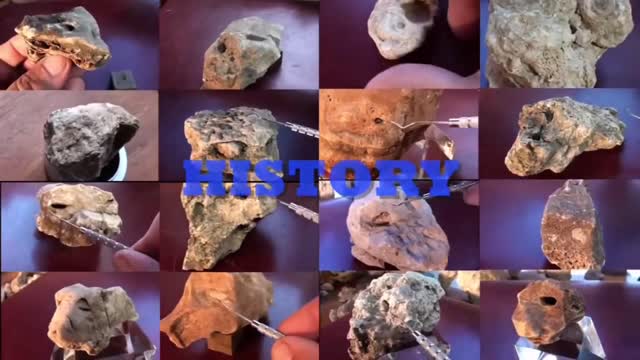 #alienfossils The Alien Fossil Project Lives On! - Brave channel exposes Russell Brand