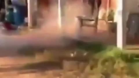 Laugh Out Loud with Hilarious Animal Antics: The Ultimate Funny Animals Compilation!
