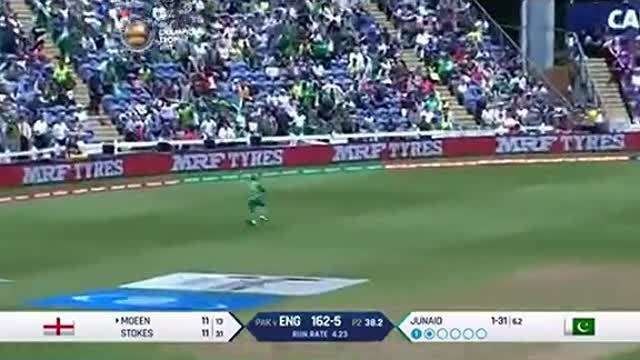 Cricket