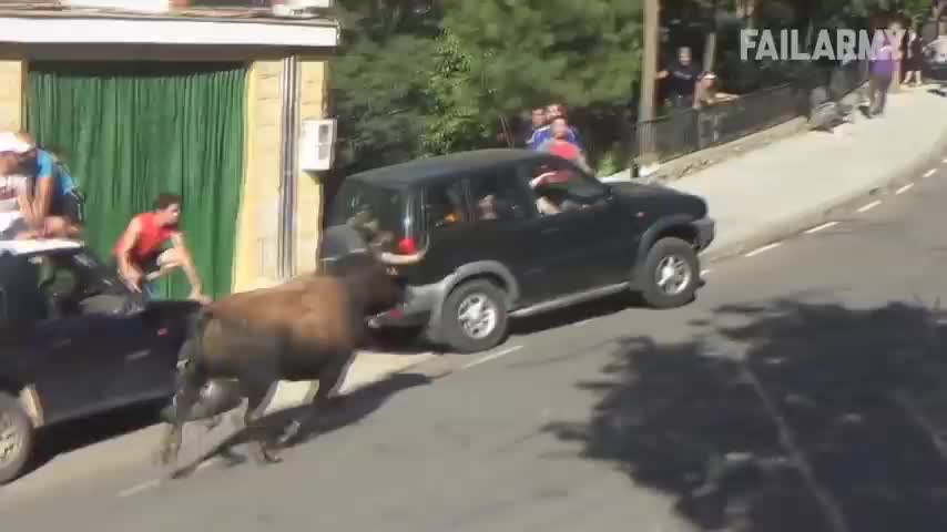 Funny Scary Animal Encounters