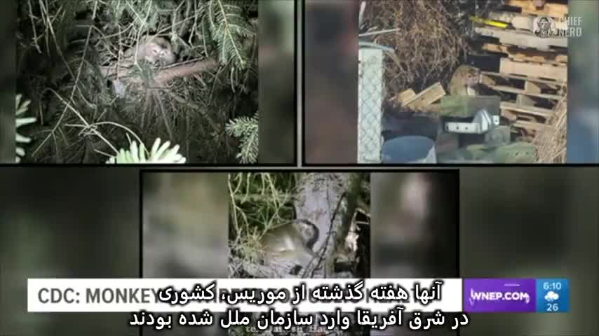 ⭕️ Preparing New Plandemic - Monkeypox