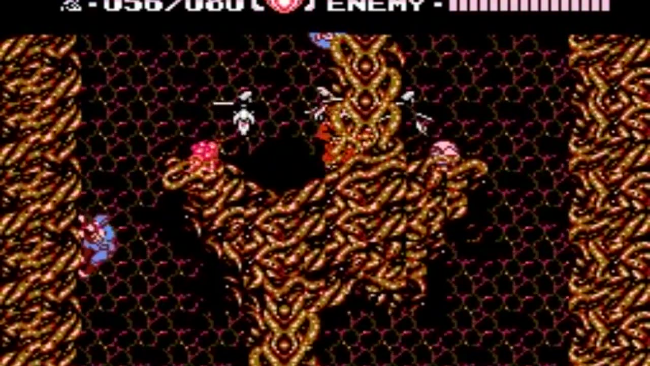 Ninja Gaiden III_ The Ancient Ship of Doom (NES)