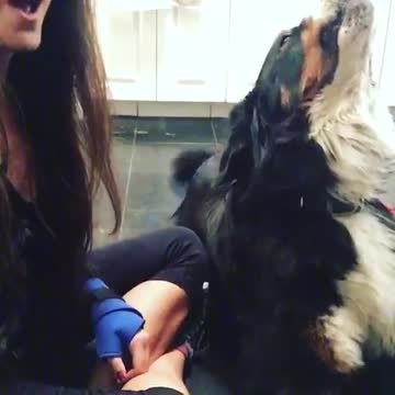 Perra canta enérgicamente con su dueña