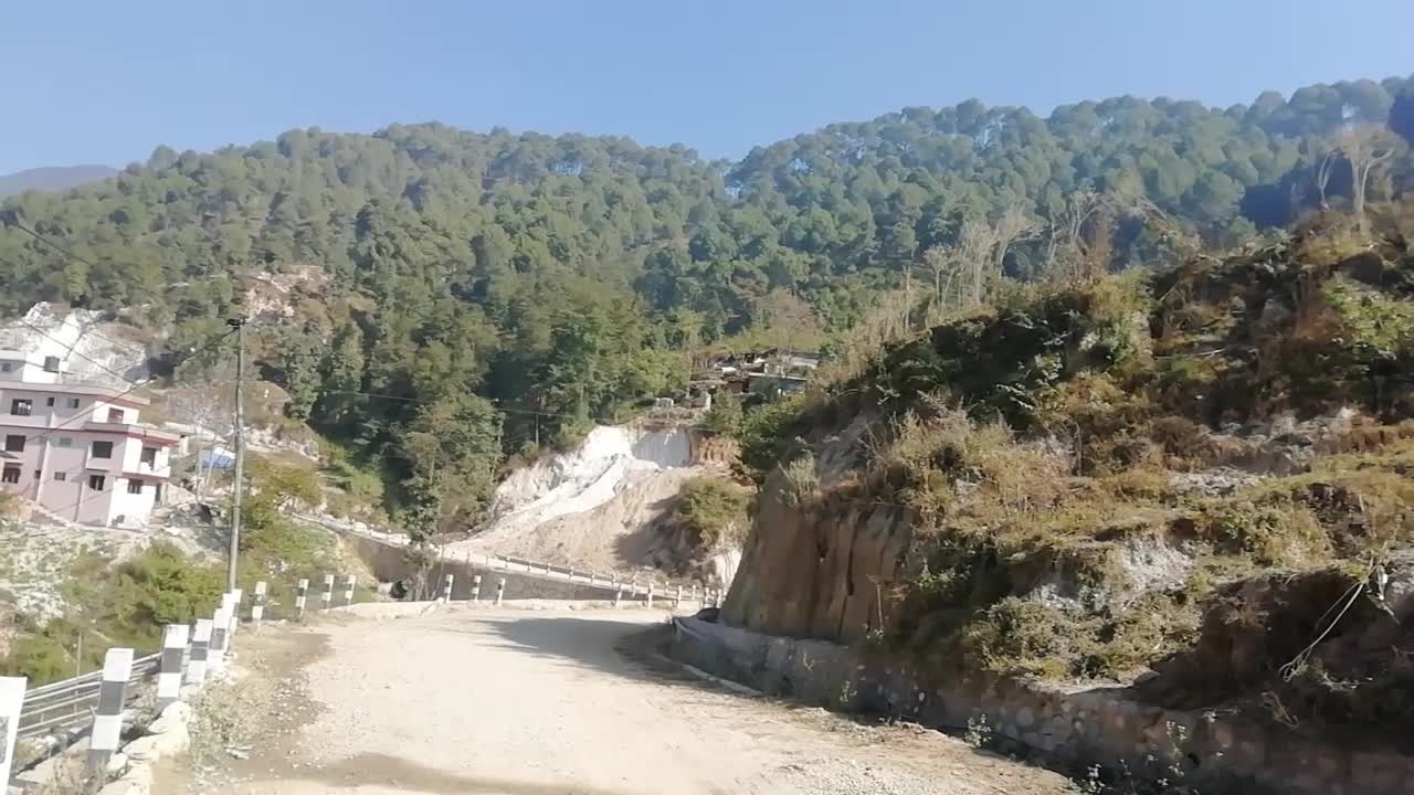 Beautiful forest in the nepal