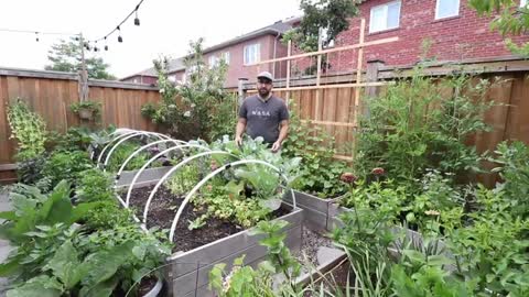 Growing Food in Urban Small Spaces - Urban Gardening