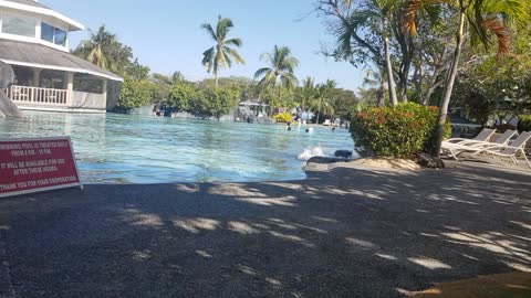 Resort swimming pool