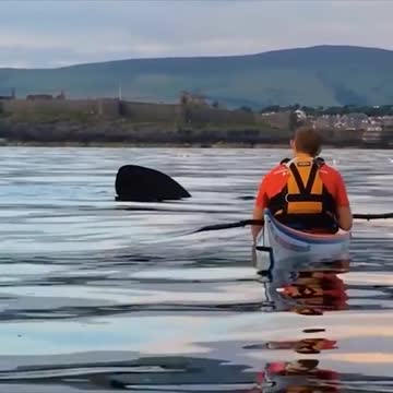 Nature is so beautiful. Great to see the elephants swimming