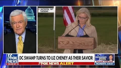 Newt on Liz Cheney: I Will Do Anything to Stop Trump, Lets Have a Hearing.