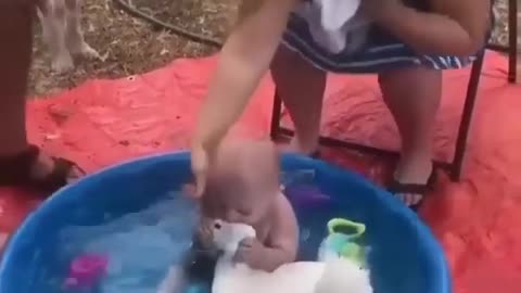 Bbay And A Duck
