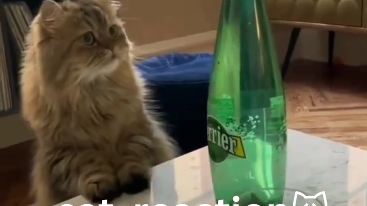 Is reaction worthy?