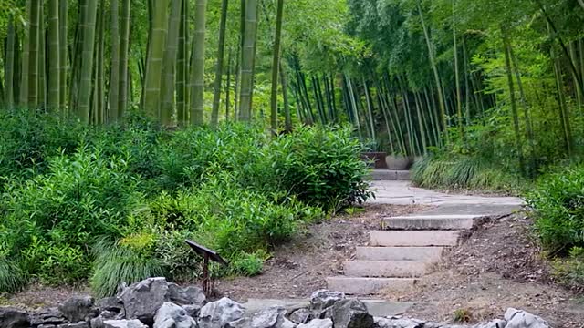 Listen to the sounds of nature and hope it puts you in a better mood!