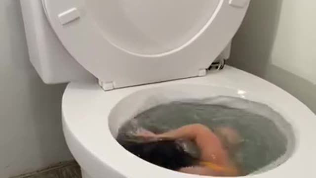 Funny fun